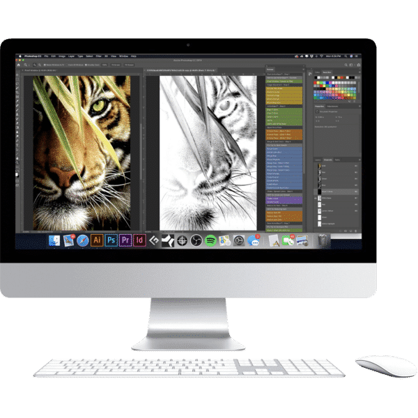 ActionSeps on Computer Screen